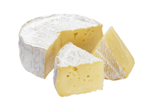 Cheese